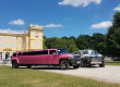 Pink Limo - Roze Limousine