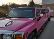 Pink Limo - Roze Limousine